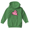 flying pig Youth Hoodie