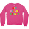 Rex Orange County - Colors Crewneck Sweatshirt