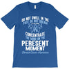 do not dwell in the past do not dream of the future concentrate the mi T-Shirt