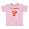 pumpkin everything Toddler T-shirt