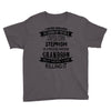 Super Cool Stepmom Of A Freaking Awesome Grandson Youth Tee