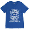 Vintage 1966 V-Neck Tee