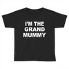 grand mummy Toddler T-shirt