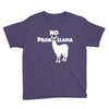 no prob llama funny llama Youth Tee