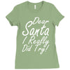 dear santa i really did try Ladies Fitted T-Shirt