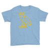 drake, ovoxo owl Youth Tee