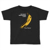 the velvet underground rock music band Toddler T-shirt
