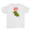 hippity hoppity get off my property Youth Tee