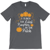 i teach the cutest pumpkins in the patch T-Shirt