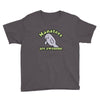manatees are awesome Youth Tee