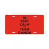 team damon salvatore License Plate