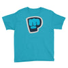 pewdiepie the blue brofist Youth Tee