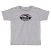 aspen Toddler T-shirt