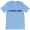 i do what i want T-Shirt