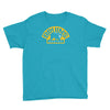 boston bruins logo Youth Tee