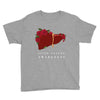 liver cancer awareness Youth Tee