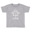 The best teachers are born in June Toddler T-shirt