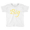 big Toddler T-shirt