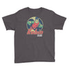 robin the boy wonder Youth Tee