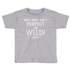 perfect welsh Toddler T-shirt