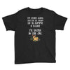ice cream or a felony Youth Tee
