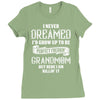Perfect Freakin Grandmom Ladies Fitted T-Shirt