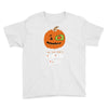 pumpkin patch Youth Tee