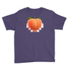 peach t Youth Tee