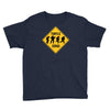 turtle xing Youth Tee