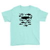 shark chart light blue t shirt Youth Tee