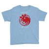 mother of cats Youth Tee