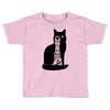 barad purr Toddler T-shirt