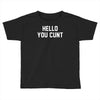 hello you c'nt Toddler T-shirt