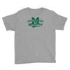 mckinley high mathletes Youth Tee