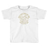 rock flag eagle national park Toddler T-shirt