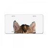 CAT License Plate