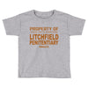 litchfiel Toddler T-shirt