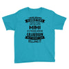 Super Cool Mimi Of A Freaking Awesome Grandson Youth Tee
