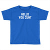 hello you c'nt Toddler T-shirt