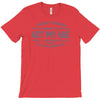 never been this old before T-Shirt
