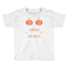 if you like my pumpkins! Toddler T-shirt