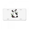 panda (2) License Plate