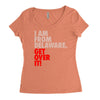 delaware state trending Women's Triblend Scoop T-shirt