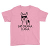 no drama llama Youth Tee