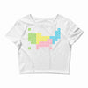 periodic table of america Crop Top