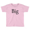 big (2) Toddler T-shirt