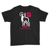 2015 year of the goat mandarin chinese Youth Tee