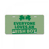 everyone loves an irish boy License Plate