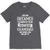 Perfect Freakin Granddad V-Neck Tee