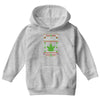 smoke weed every christmas Youth Hoodie